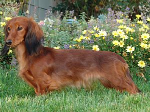 Vom Weberschl�sschen