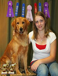 Golden Retriever